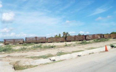 Güterwagons zum Transport von Zuckerrohr