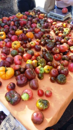 Tomaten auf dem Sonntagsmarkt am Central Park